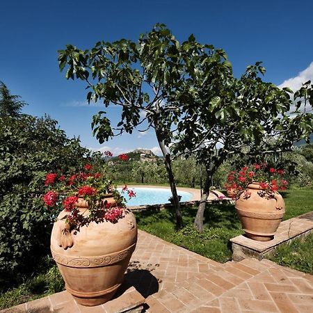 Apartamento La Dragona Castel del Piano  Exterior foto